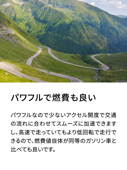 パワフルで燃費も良い | パワフルなので少ないアクセル開度で交通の流れに合わせてスムーズに加速できますし、高速で走っていてもより低回転で走行できるので、燃費値自体が同等のガソリン車と比べても良いです。