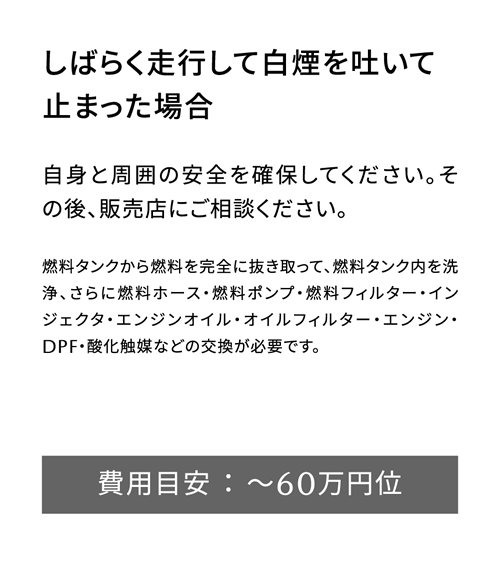 しばらく走行して白煙を吐いて止まった場合 | 自身と周囲の安全を確保してください。その後、販売店にご相談ください。/ 費用目安 ： ～60万円位