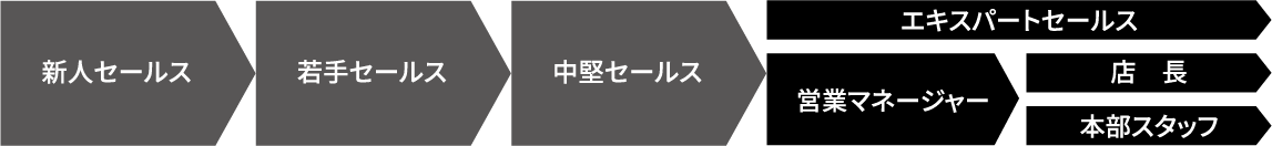 新人セールス→若手セールス→中堅セールス→エキスパートセールス/営業マネージャー→エキスパートセールス/店長|本部スタッフ