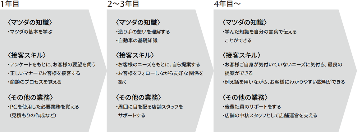 1年目→若手セールス（・マツダについて学ぶ・見積もり作成の仕方・電話応対、呼び込みの仕方・PC操作説明・商談プロセス）→3年目（・クルマの基礎知識・車検について・エコカー減税について・新世代商品について・車検について）→5年目（・先輩として新人をサポートする・店舗の中核スタッフとして店舗の運営を支える・新世代商品について・車検について）